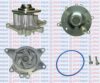 AQUAPLUS 85-8395 Water Pump